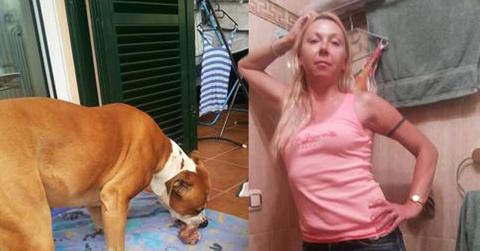 //Russian Woman Feeds German Husband To Dog Spain pp