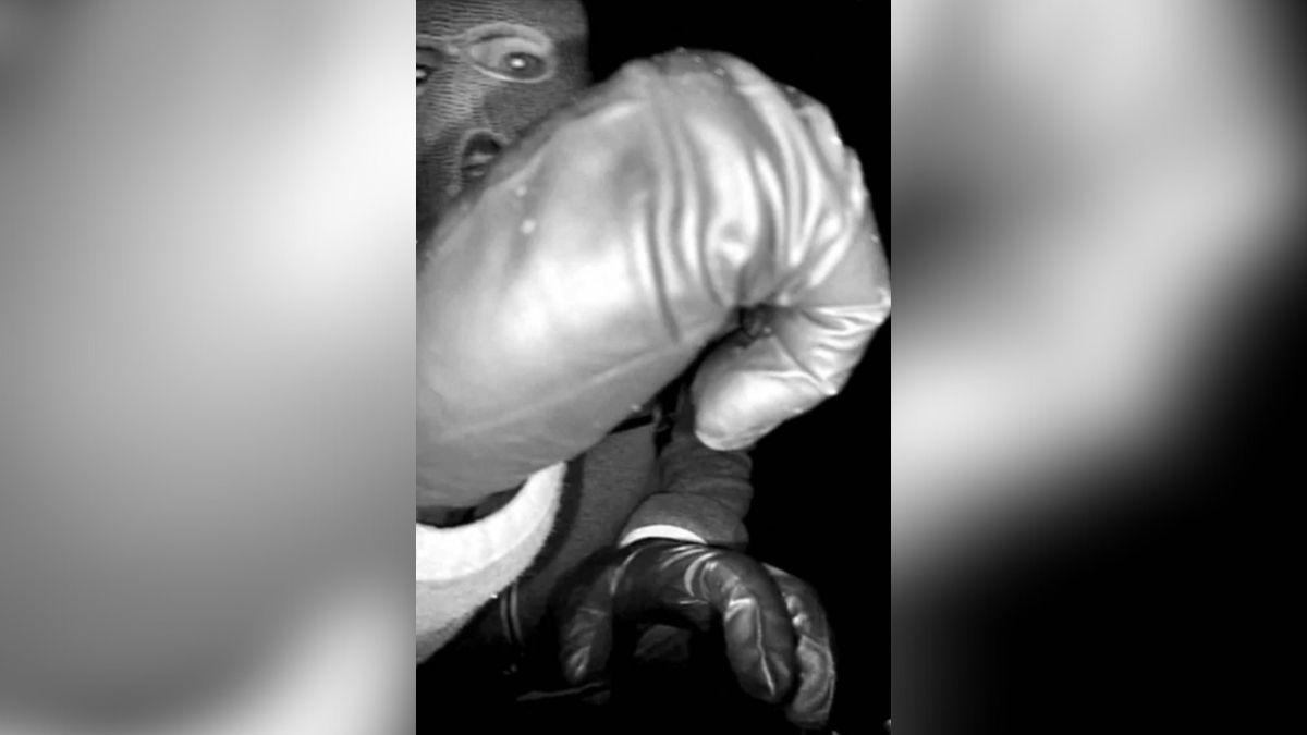 Photo of Nancy Guthrie Suspect