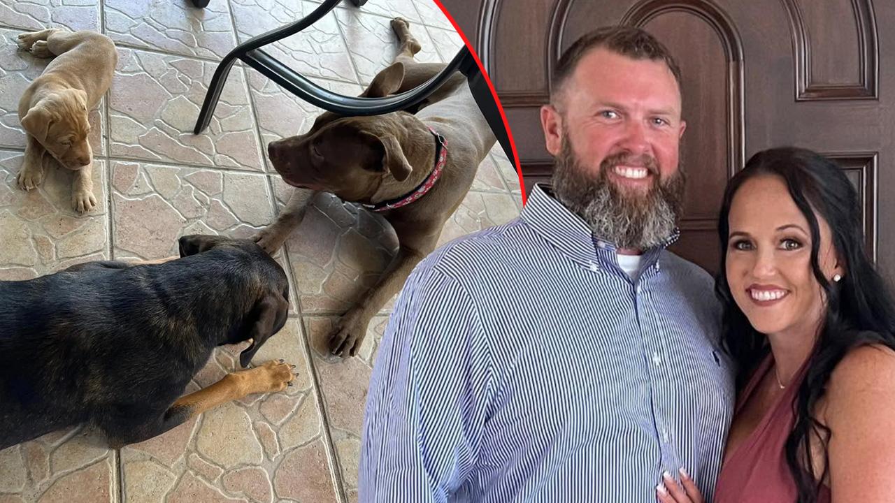 A Florida woman accused of disturbing acts with her dog claimed she was unaware she was being recorded.