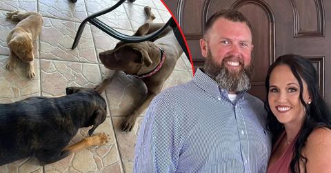 A Florida woman accused of disturbing acts with her dog claimed she was unaware she was being recorded.