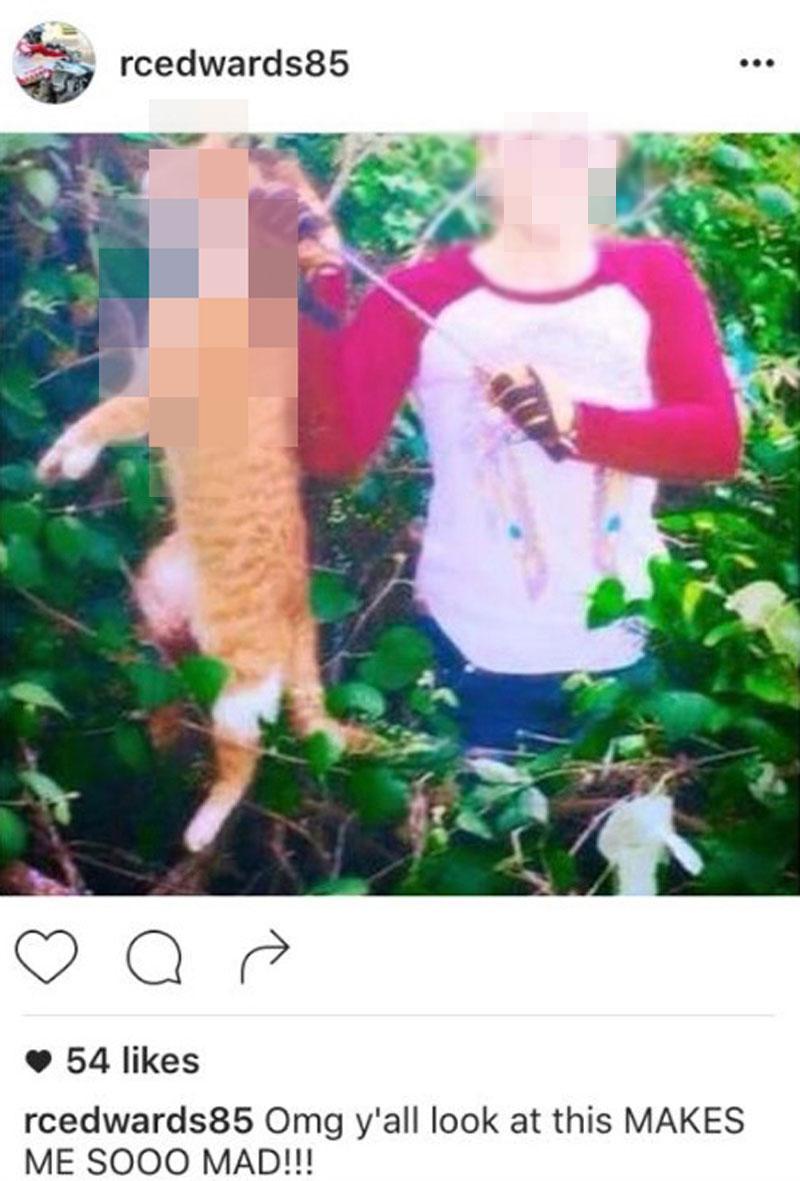 maci bookout baby daddy murdering cats