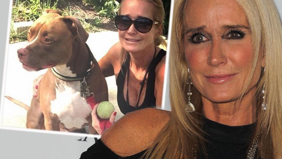 kim richards dod attack