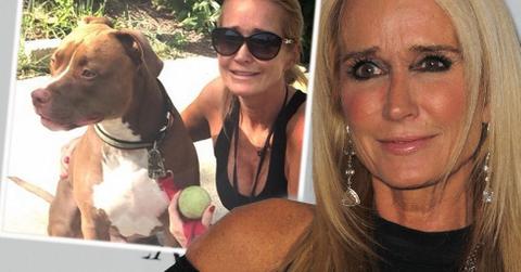 kim richards dod attack