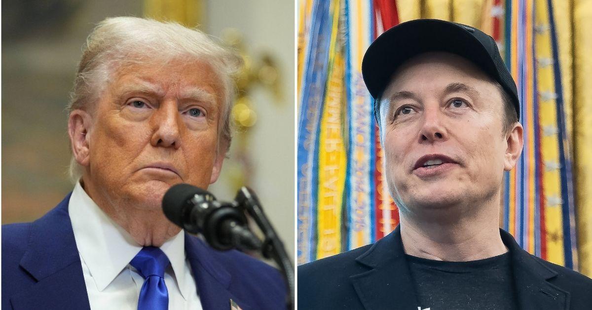 Split photo of Donald Trump, Elon Musk