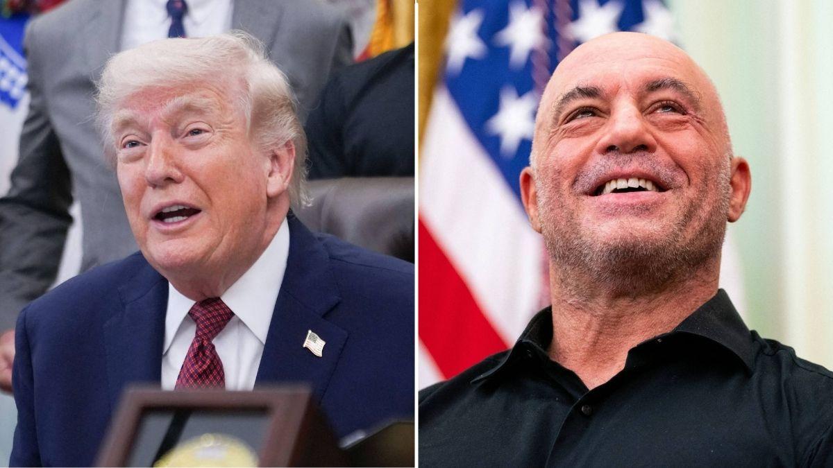 A photo of Donald Trump alongside a photo of Joe Rogan