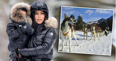 Kardashian Montana Dog Sled Scandal