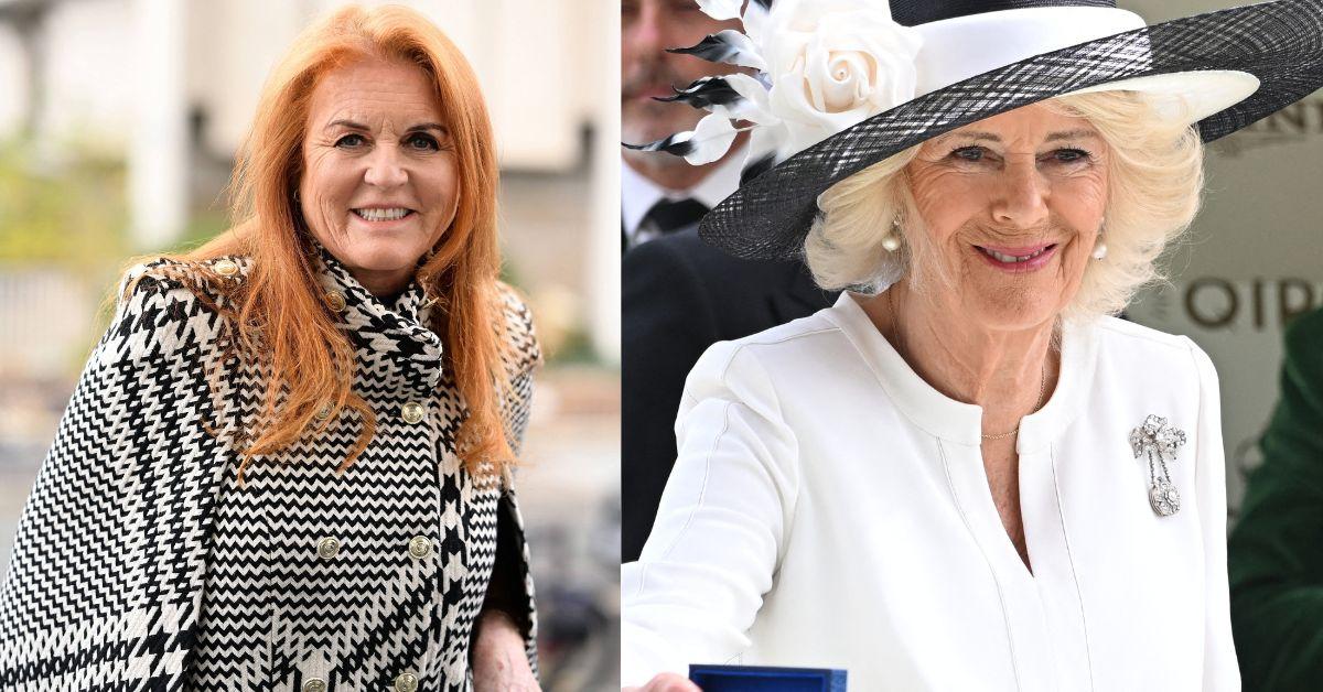 Sarah Ferguson has been 'drowning her sorrows in booze during her dwindling days in Windsor's Royal Lodge.'
