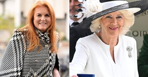 Sarah Ferguson has been 'drowning her sorrows in booze during her dwindling days in Windsor's Royal Lodge.'