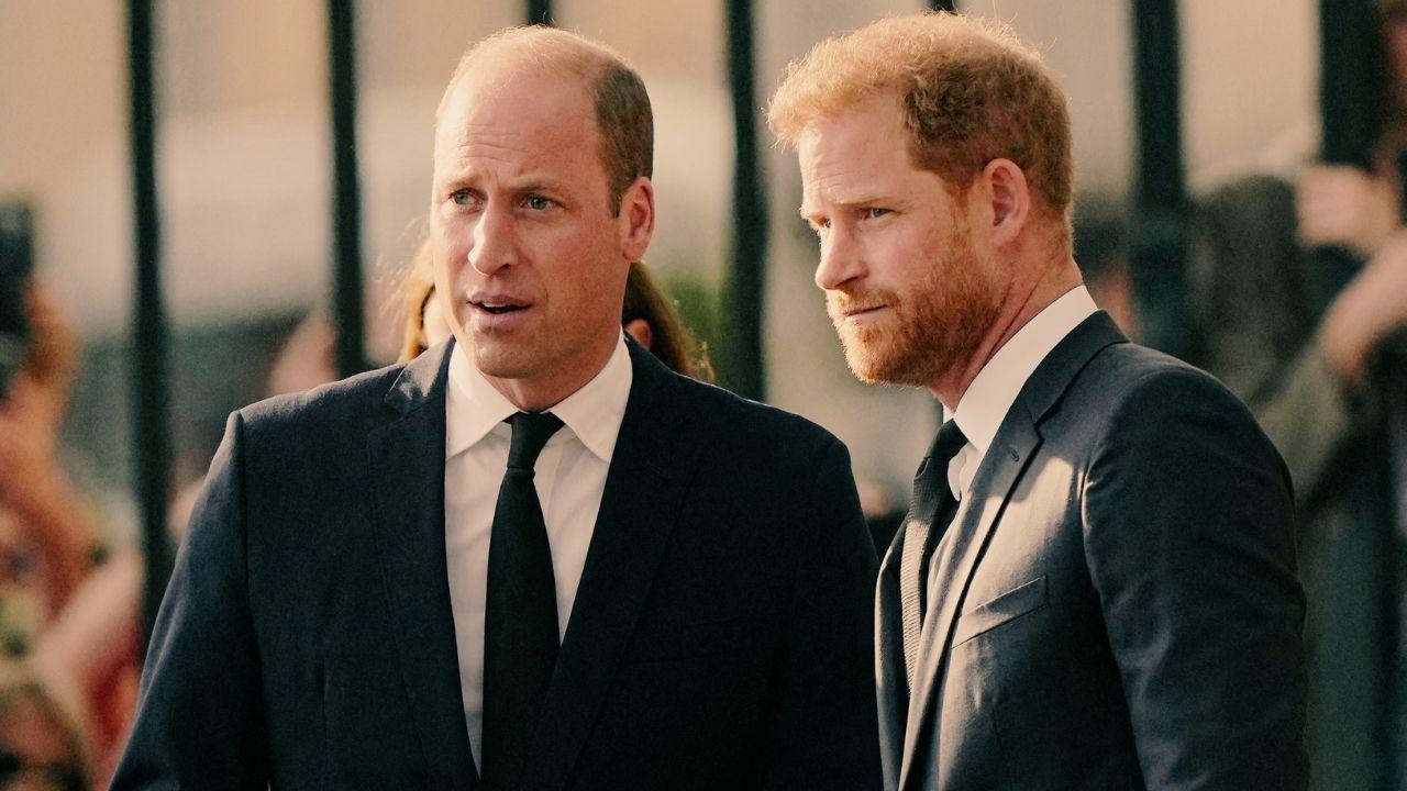 Photo of Princes William and Harry