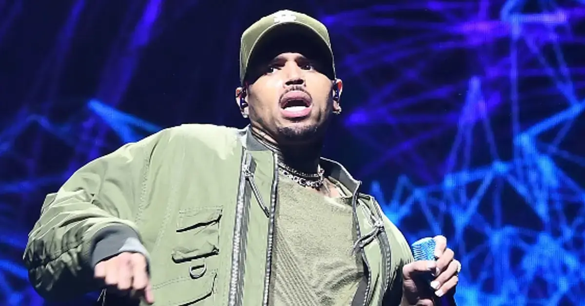 Chris Brown a No-Show For Court Date In 'Brutal' Dog Mauling Case