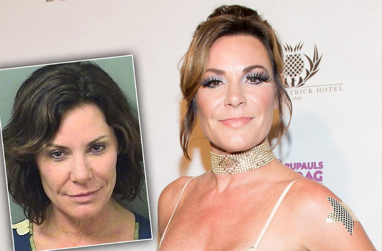 //luann de lesseps resurfaces florida shocking arrest pp