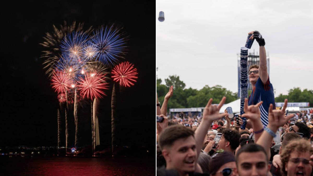 A large group had planned to target attendees at the UFC event on the White House lawn.