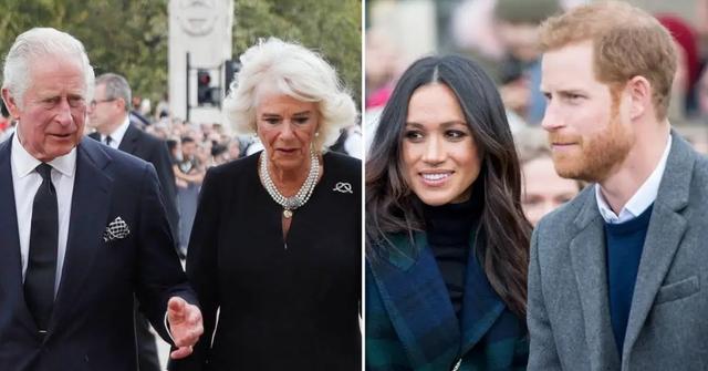 charles camilla meg harry pp
