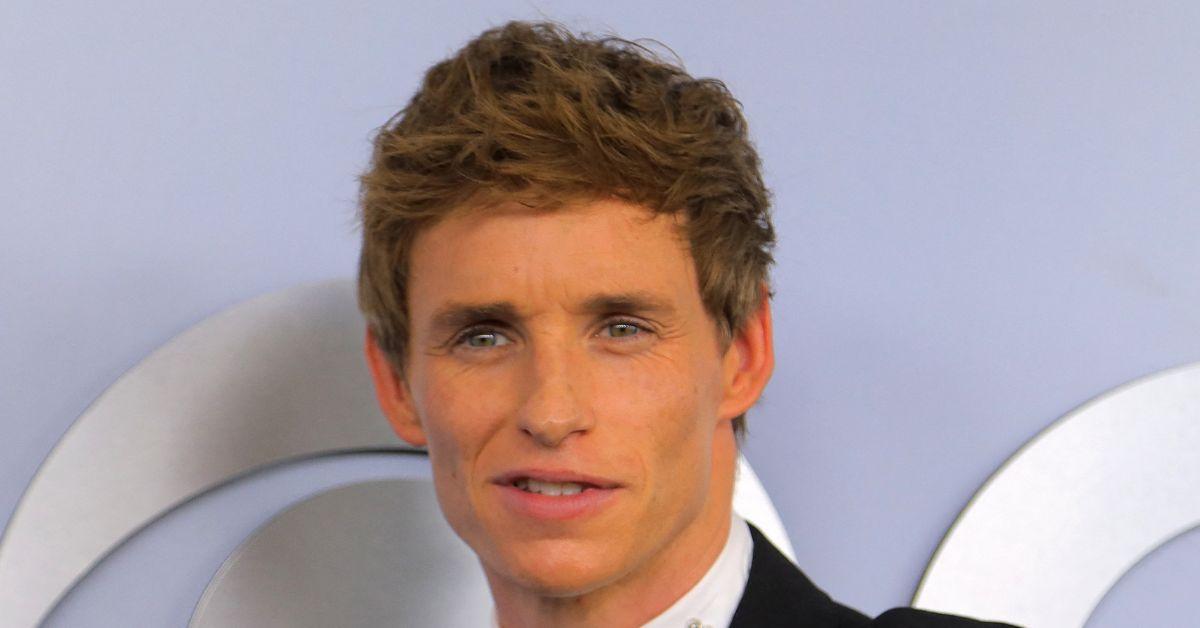 eddie redmayne the danish girl