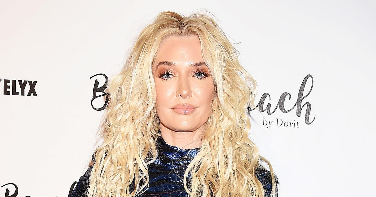 erika jayne rushes to court files appeal ronald richards lawyer investigating embezzlement r