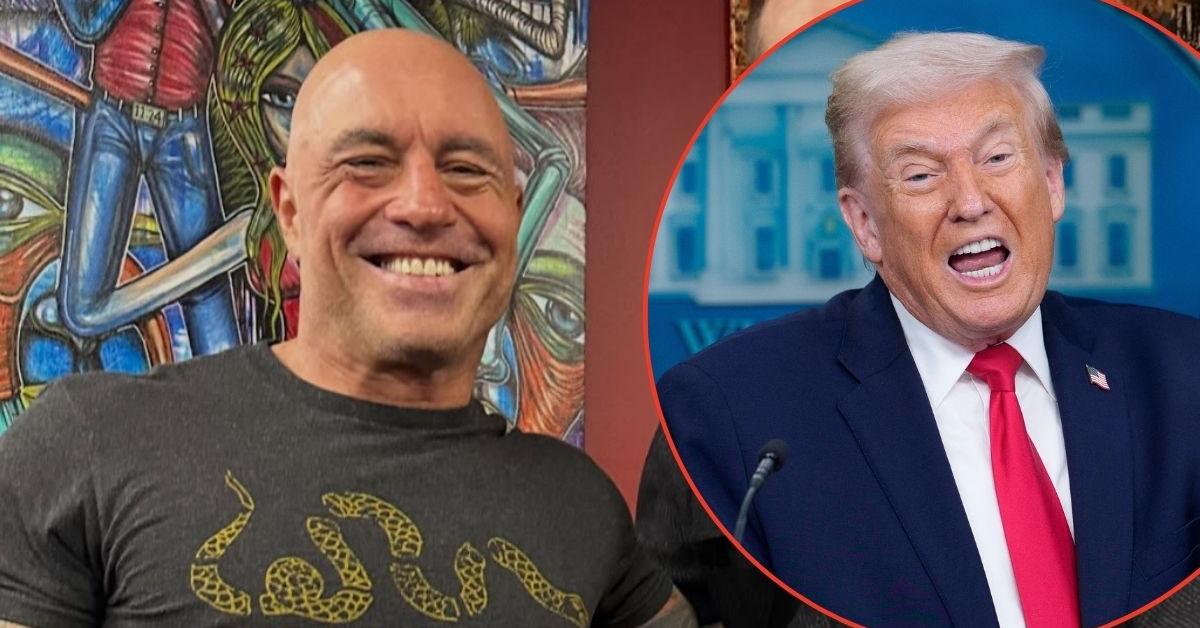 EXCLUSIVE: Inside Story of Why Joe Rogan has FINALLY Gone Sour on Donald Trump — After Comparing Prez's ICE Agents to Nazis