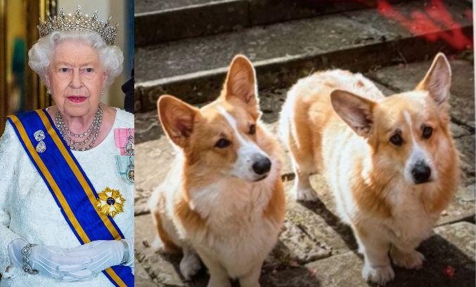 queen elizabeth corgis held for ransom by prince andrew