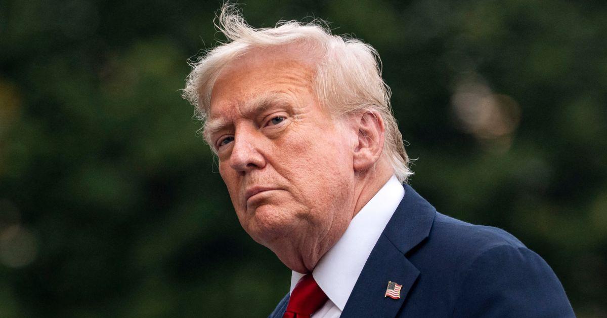 picture of Donald Trump