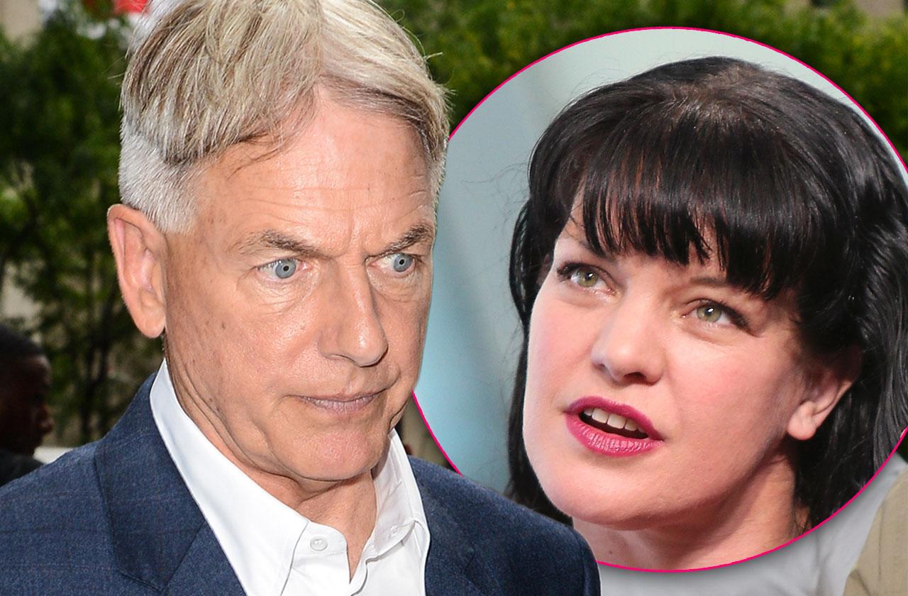 pauley perrette ignored mark harmon reconciliation attempt ncis feud