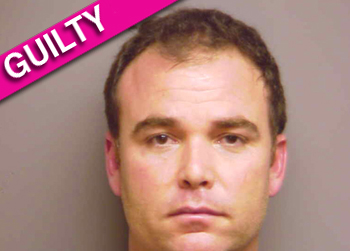 //david viens guilty murder wife