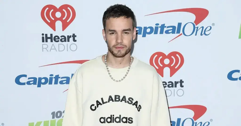 liam payne drugs system died report