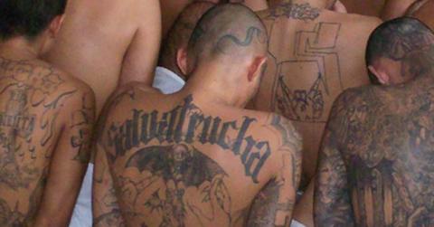 ms gang membersfbiarchive