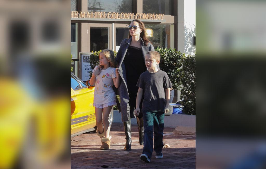 Brad Pitt Angelina Jolie Divorce Custody Battle Kids Twins Malibu Pics