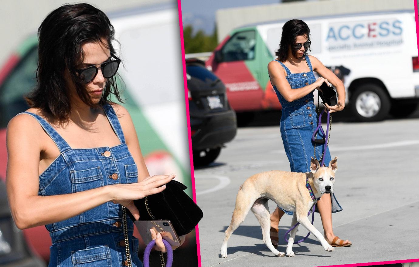 Jenna Dewan Takes Dog To The Vet