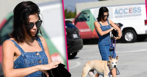 Jenna Dewan Takes Dog To The Vet