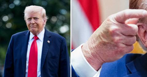 Photo of Donald Trump