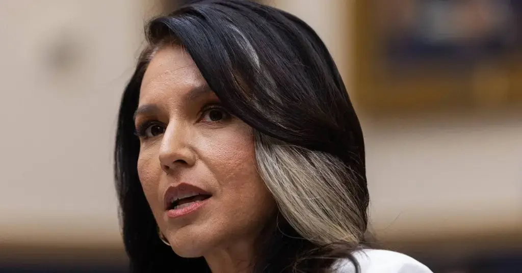 tulsi gabbard obama administration treasonous conspiracy  election