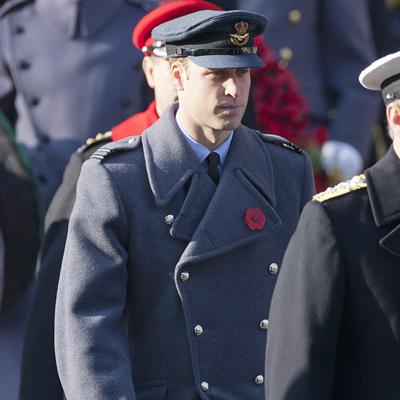 //prince william returns landov post