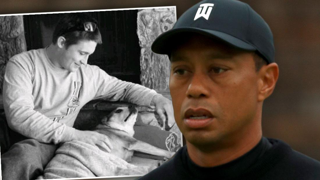 Tiger Woods slapped with wrongful death lawsuit after ex restaurant employee died drunk driving