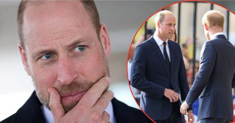 Photo of Princes William and Harry