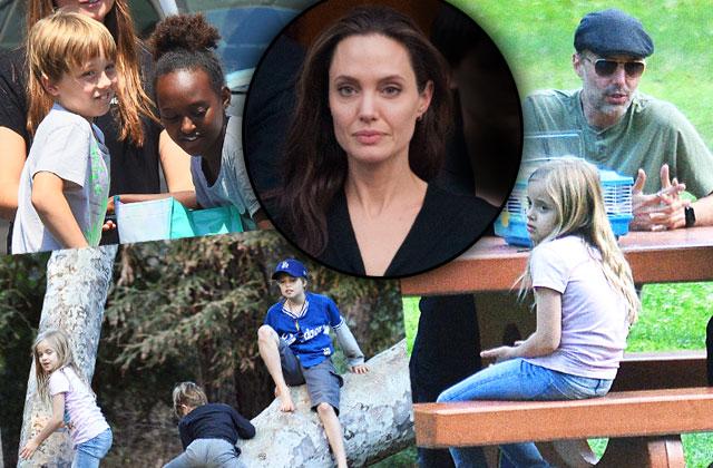 angelina jolie divorce brad pitt kids shiloh park uncle james haven