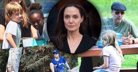 angelina jolie divorce brad pitt kids shiloh park uncle james haven