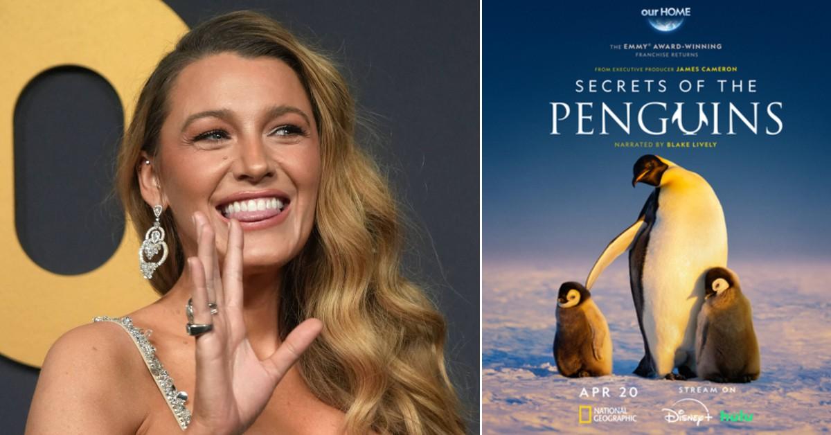 Blake Lively Narrated New Show About Penguins To Boost Poor