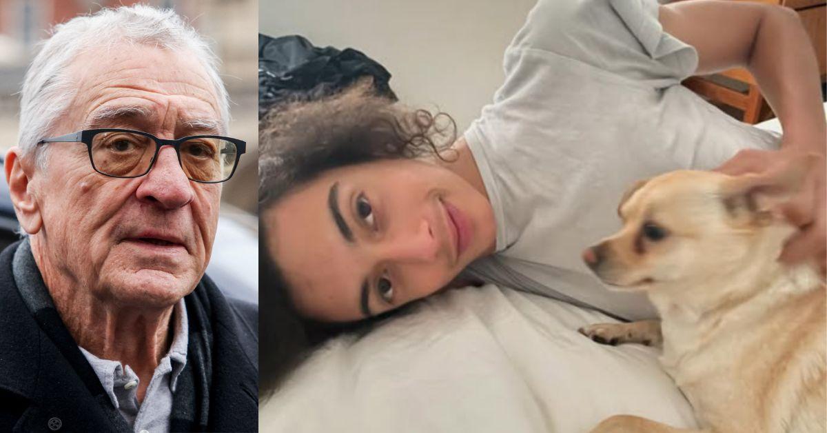 Robert De Niro's tragedy deepens as his grandson's dealer now faces multiple New York deaths.