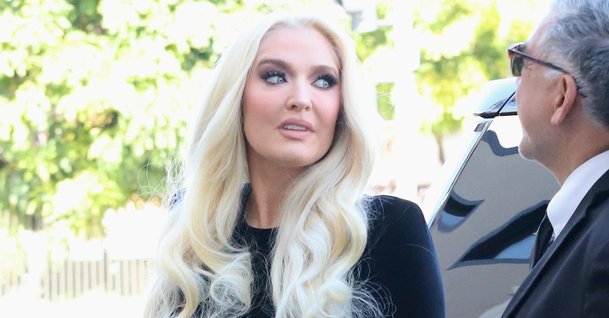 erika jayne appeals diamond earrings overturn embezzlement bankruptcy