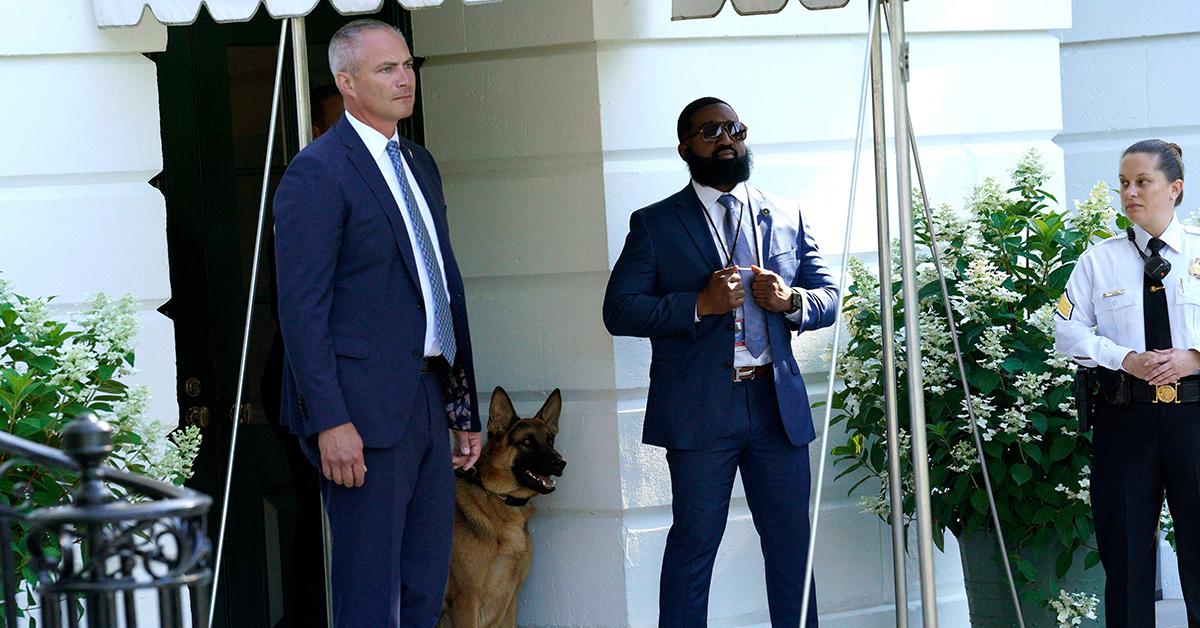 peta defends joe biden biting dog