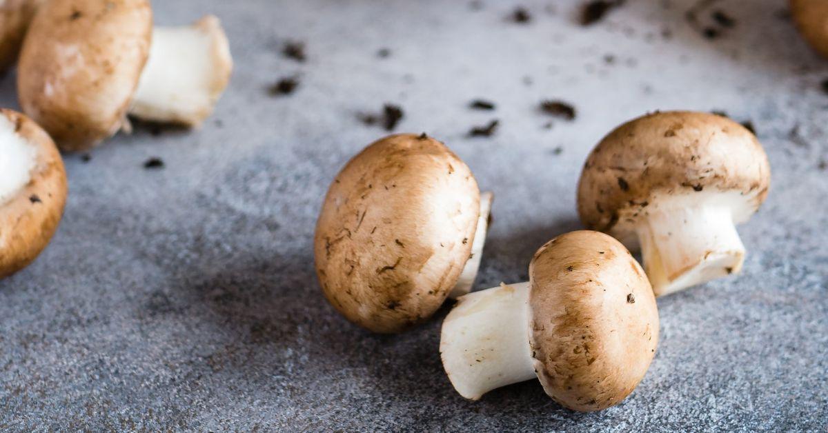 Woman Allegedly Served Poisonous Mushroom Meal, Killing 3: Police