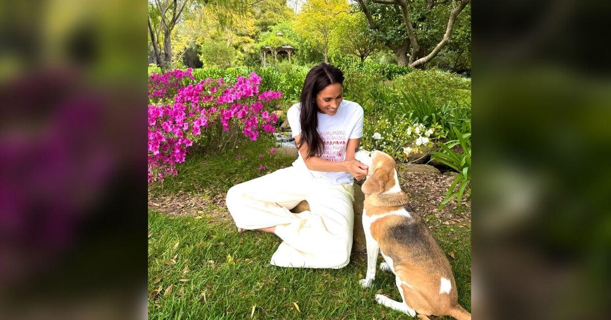Photo of Meghan Markle
