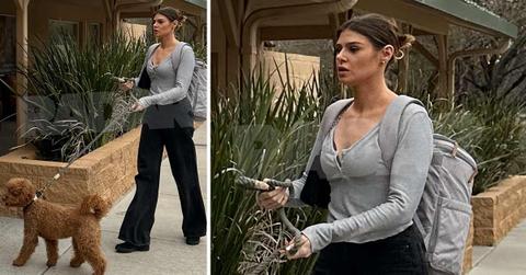 microsoftteams image