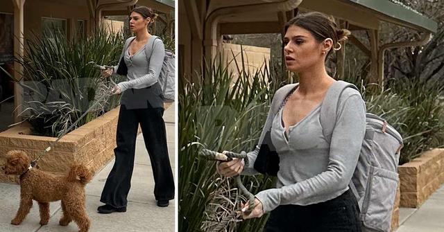 microsoftteams image