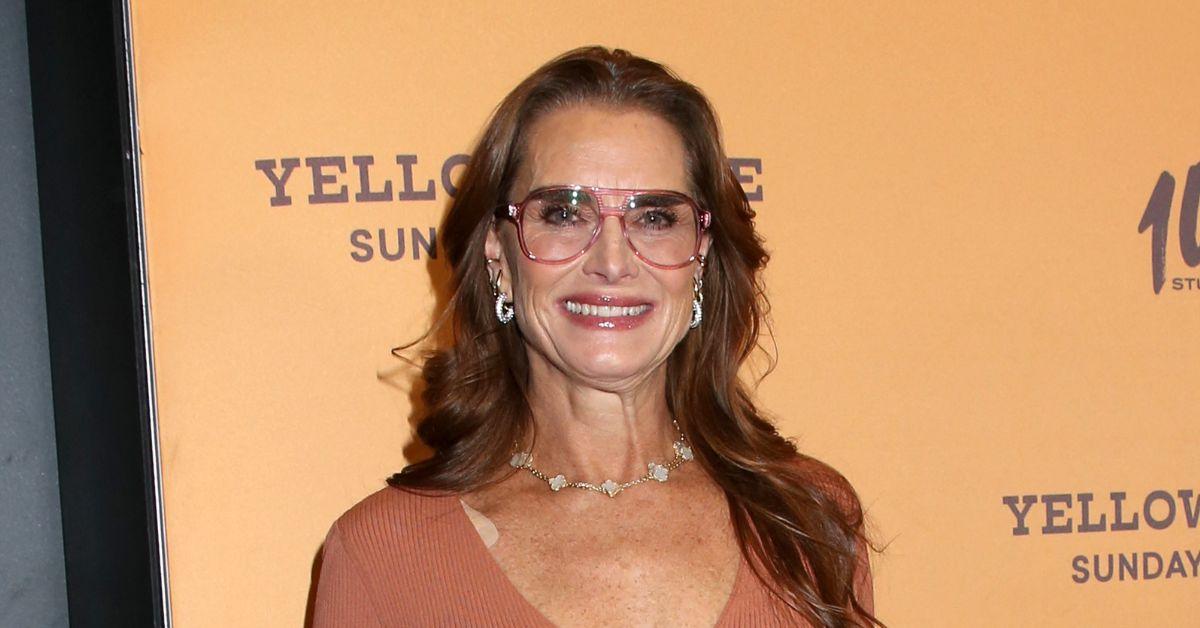 brooke shields new memoir biggest revelations