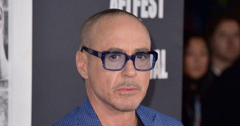 robert downey sr robert downey jr