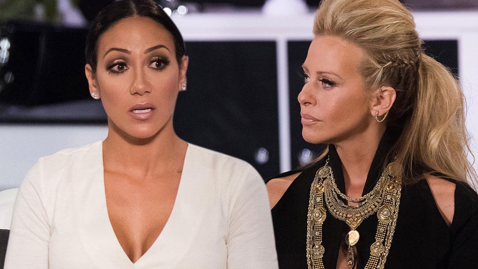 //melissa gorga dina manzo fight during reunion