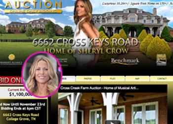 //postcrowinfpicture