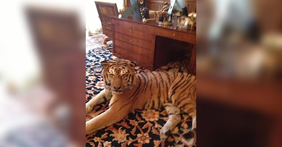 Photo of Jeffrey Epstein Desk