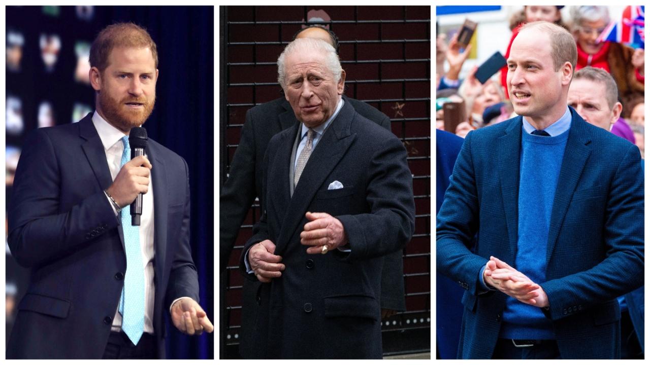 Prince Harry, Prince William, and King Charles